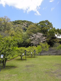 ねんきんQuiz-第288問_d0132289_0354497.jpg