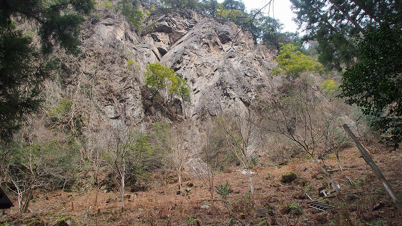 a0293295_2143138.jpg