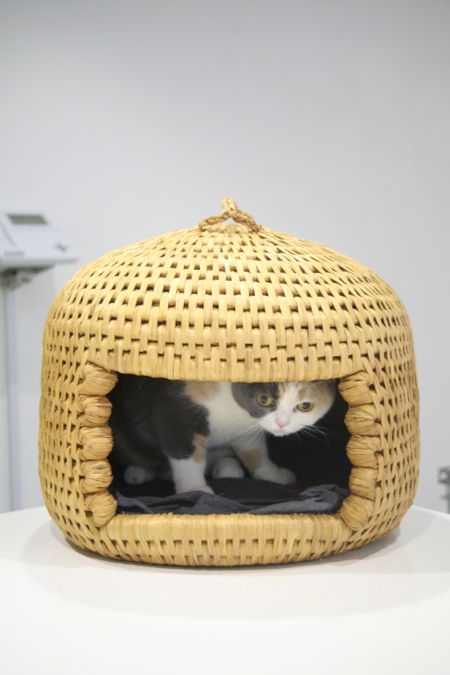 猫ちぐら in クリキャリ_c0108595_1335448.jpg