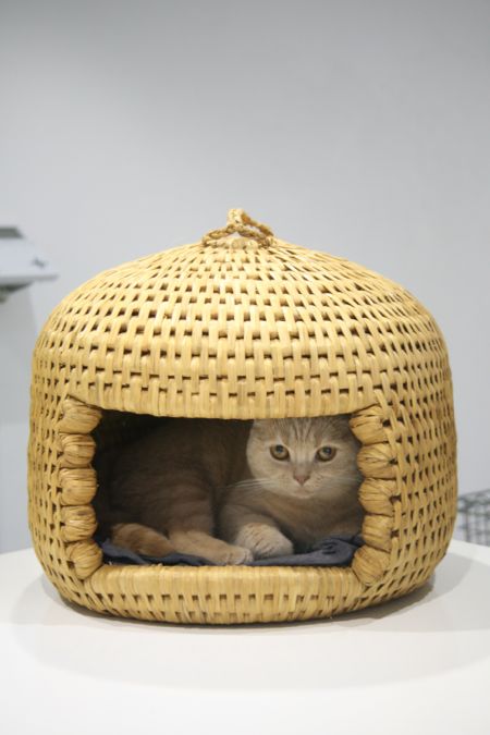 猫ちぐら in クリキャリ_c0108595_13355551.jpg