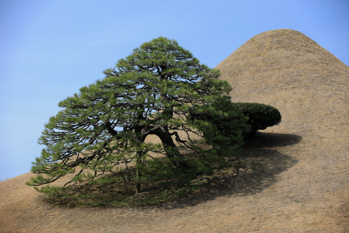 水前寺成趣園の富士山_e0135098_228539.jpg