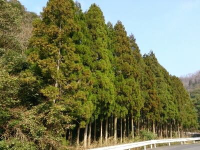 e0252905_1055625.jpg