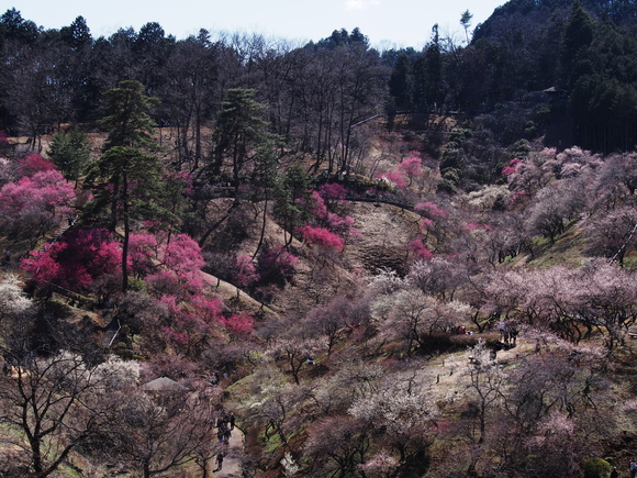 f0302208_21255389.jpg
