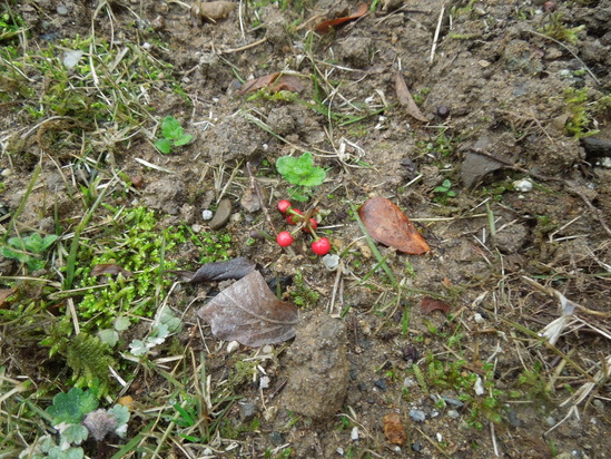 f0297809_0522023.jpg