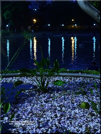 b0172211_20325287.jpg