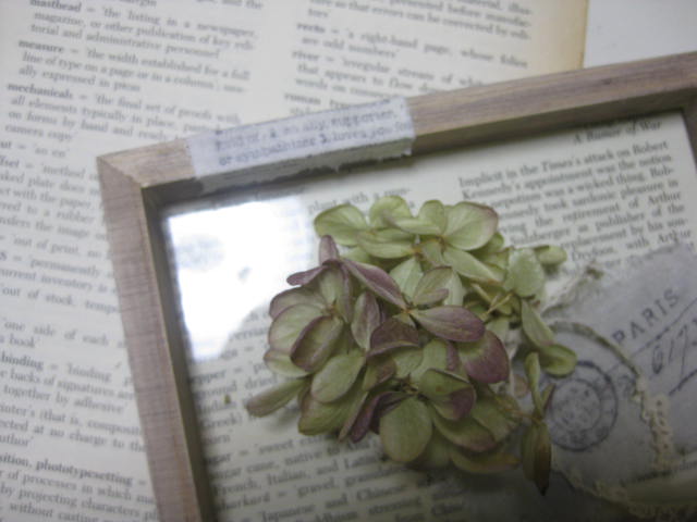 c0085916_8132767.jpg