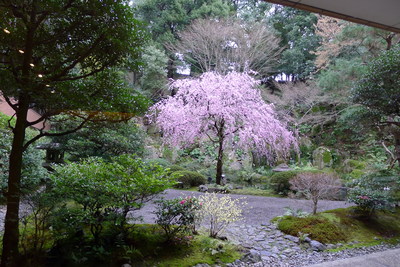 c0198321_2011041.jpg