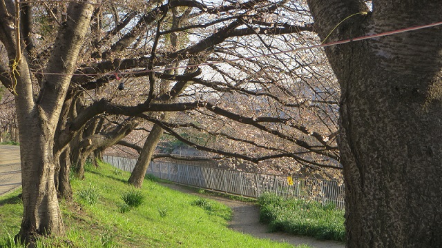 c0280322_23510725.jpg