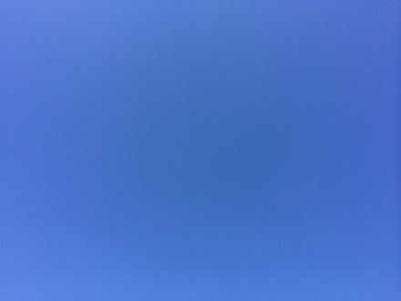 春・はる・・・♪3/28①_b0247223_1221586.jpg
