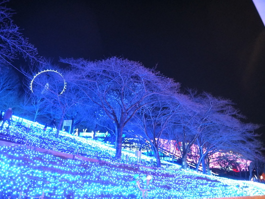d0195623_21454278.jpg