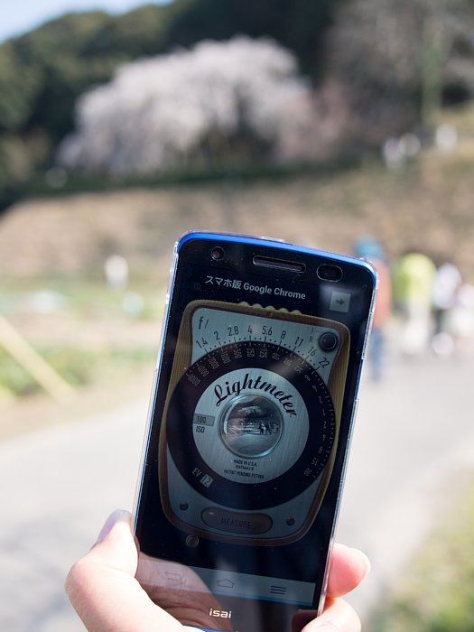 2014年3月29日　奥山田のエドヒガン、ほぼ満開♪_b0134829_19171539.jpg