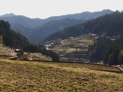 川売梅園_c0077531_23211314.jpg
