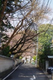 c0051032_131051.jpg