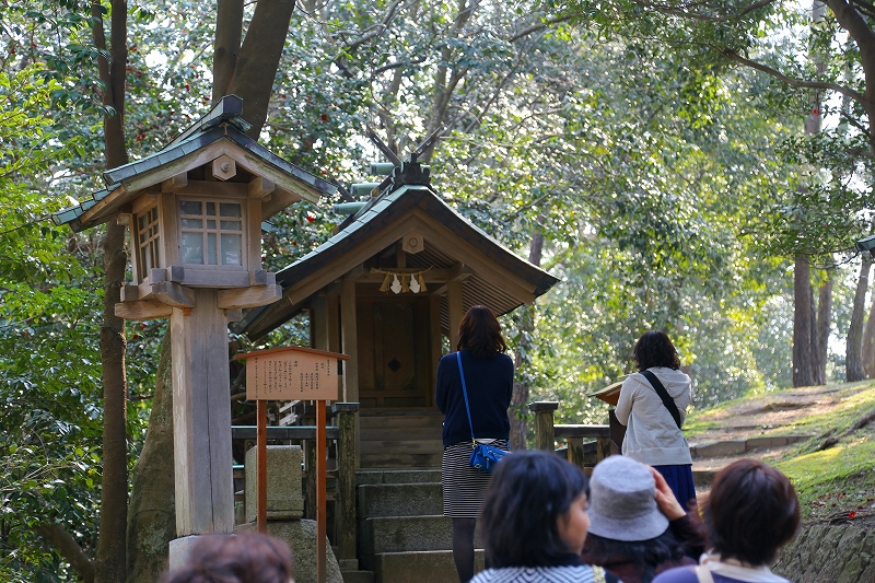 山陽・山陰ツァー旅（鳥取県・島根県）その２_f0229832_1725627.jpg