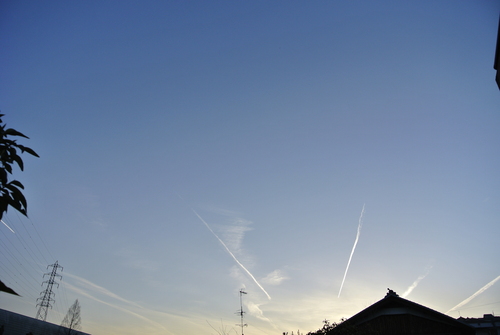 飛行機雲が5本も_d0170835_1834269.jpg