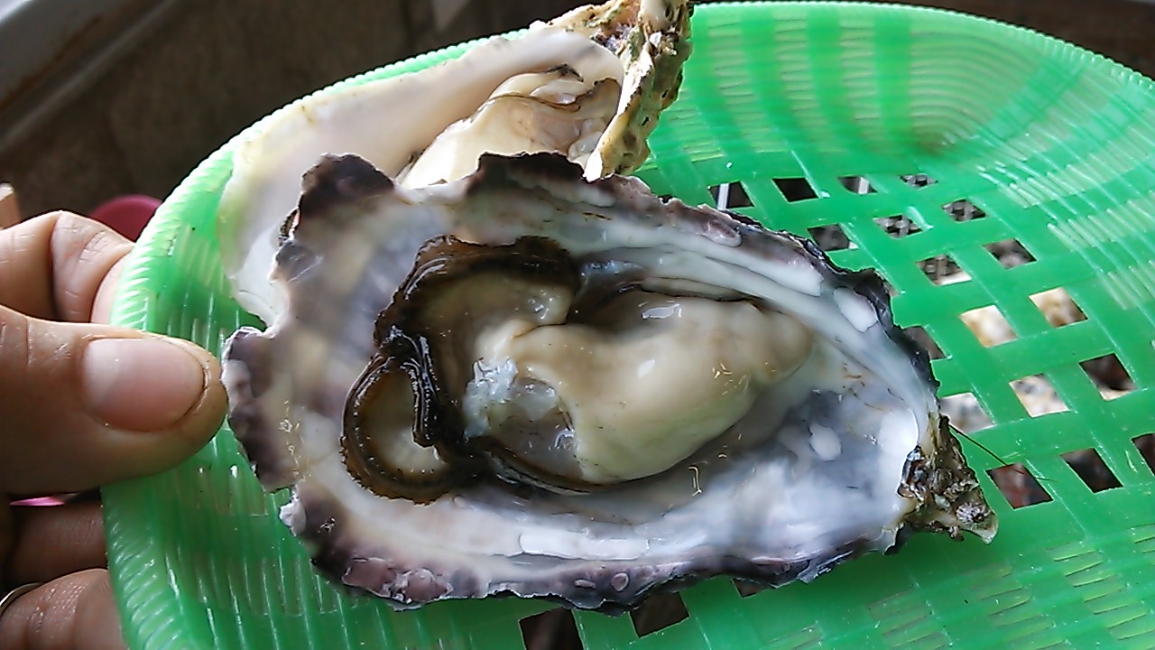 食べ歩き FUKUOKA_c0119937_16766.jpg