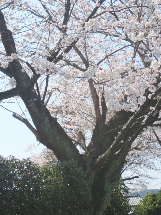 b0248954_124572.jpg