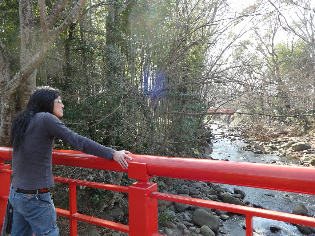 沼津＆中伊豆（韮山・修善寺・伊豆長岡） 伊東園金城館泊 【2014/3/25_26】_b0182655_18343627.jpg