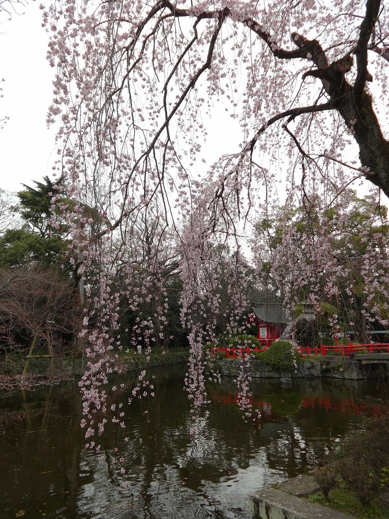 沼津＆中伊豆（韮山・修善寺・伊豆長岡） 伊東園金城館泊 【2014/3/25_26】_b0182655_18542678.jpg