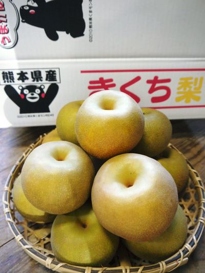 熊本梨 本藤果樹園 2014年開花宣言!_a0254656_17561458.jpg