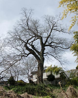 e0035757_18374141.jpg