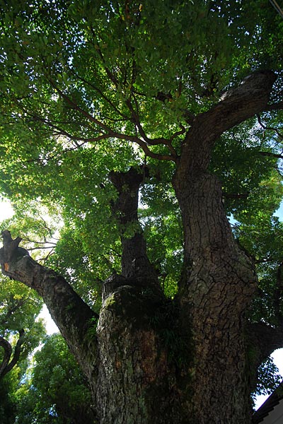 e0035757_18404461.jpg