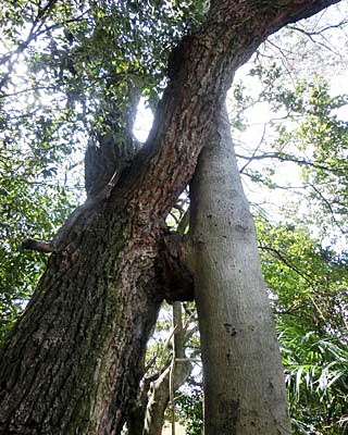 e0035757_1843870.jpg