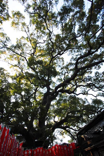 e0035757_18551728.jpg