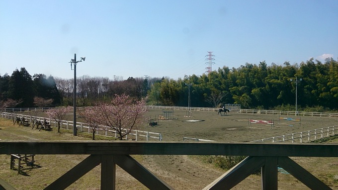 f0031961_22430742.jpg