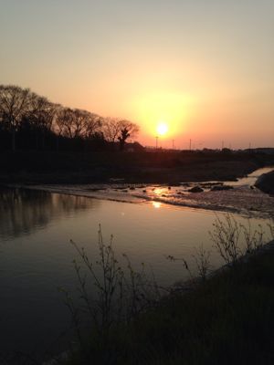 昨日の夕陽と今日の空と桜や_e0136066_22365520.jpg