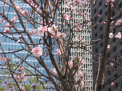 f0259373_09362597.jpg