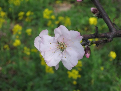 f0259373_09402731.jpg