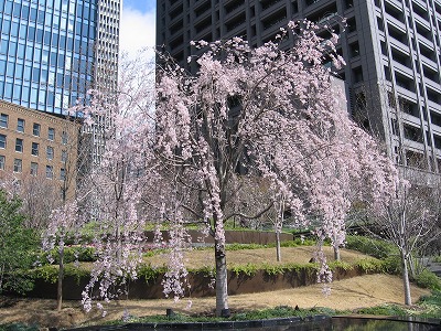 f0259373_09585471.jpg