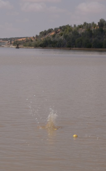 e0066474_39890.jpg