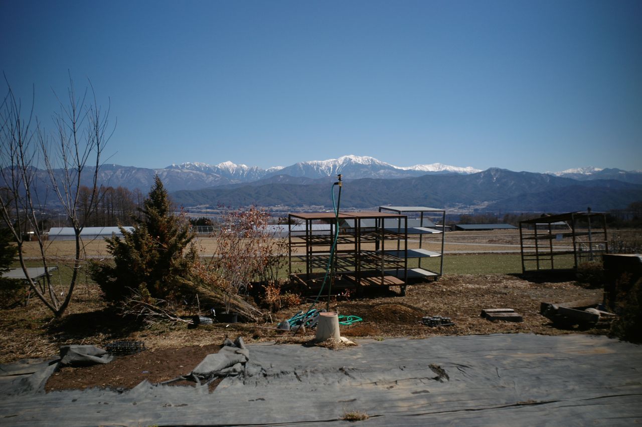 f0124378_2339446.jpg