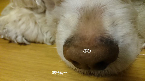 f0218182_17161058.jpg