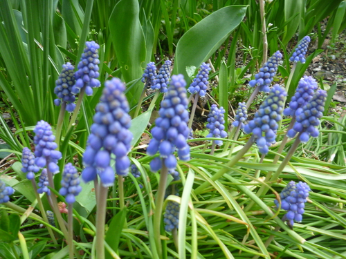 a0243983_1324457.jpg