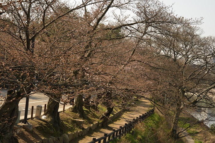 f0268294_22061072.jpg