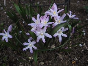 c0117898_20304413.jpg