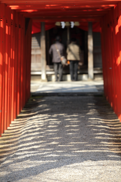 水前寺成趣園内の出水神社_e0135098_1754391.jpg