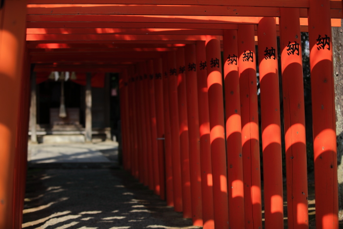 水前寺成趣園内の出水神社_e0135098_17545142.jpg