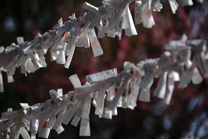 水前寺成趣園内の出水神社_e0135098_1755280.jpg