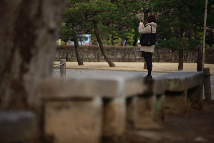水前寺成趣園内の出水神社_e0135098_17552914.jpg