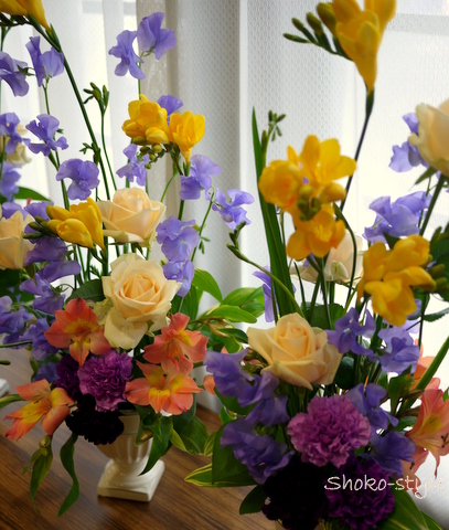 春の薫り_a0135999_12141746.jpg