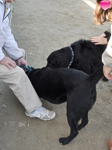 お里帰り & ポニワンさん　_f0176499_00462793.jpg