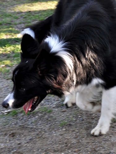 お里帰り & ポニワンさん　_f0176499_00475584.jpg