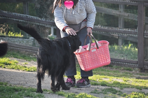 お里帰り & ポニワンさん　_f0176499_00483736.jpg