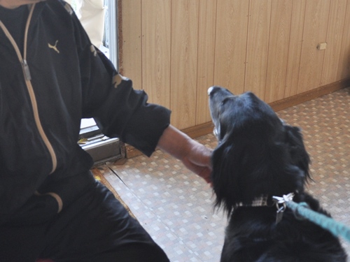 お里帰り & ポニワンさん　_f0176499_01302121.jpg