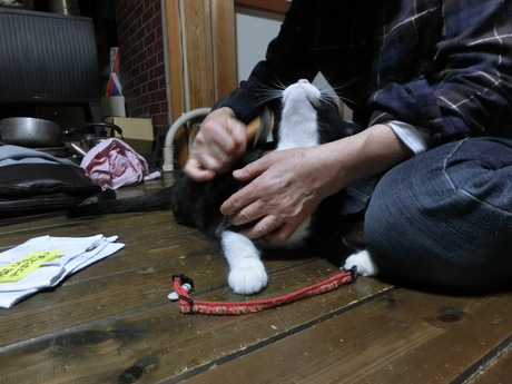 a0203003_2171362.jpg