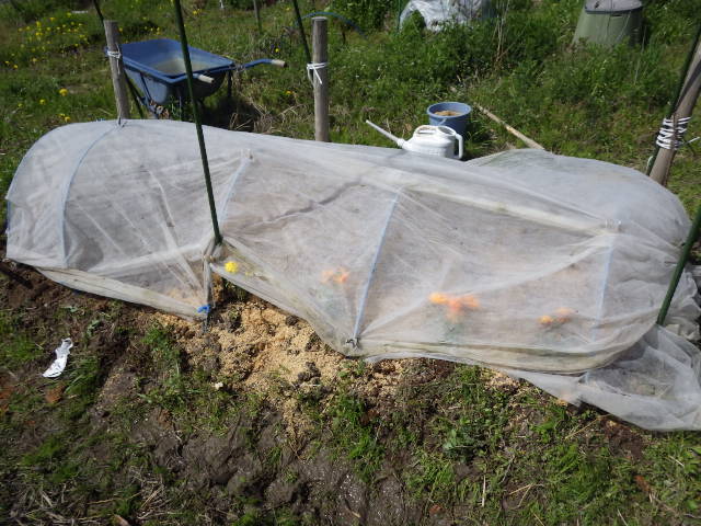 c0280206_843261.jpg